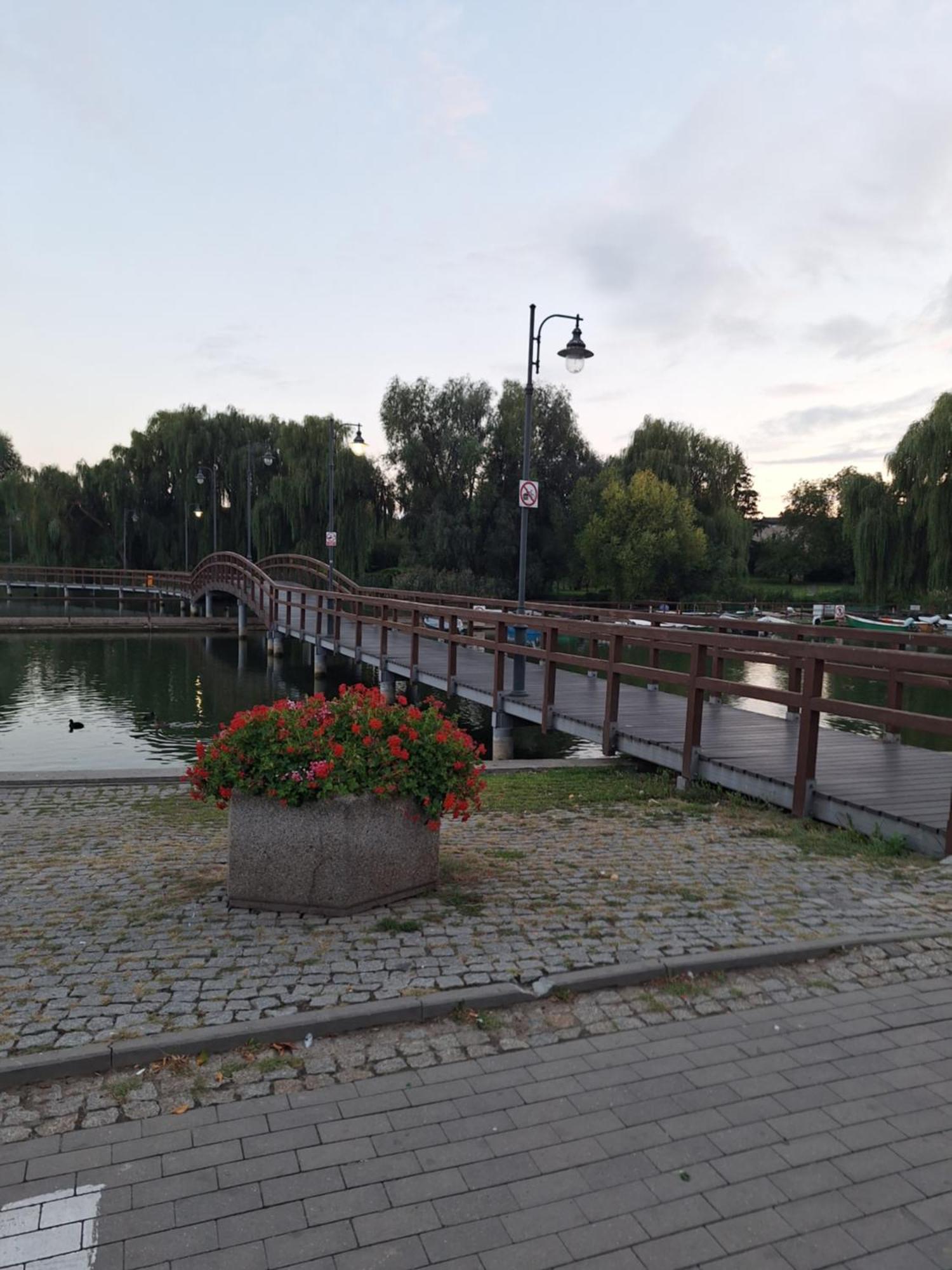 Apartament Chełmża Exteriör bild